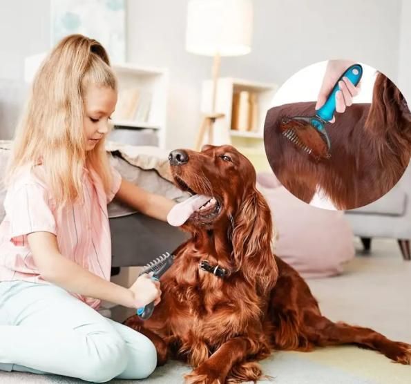 2 in 1 Pet Grooming Brush – Remove Loose Hair & Tangles Instantly