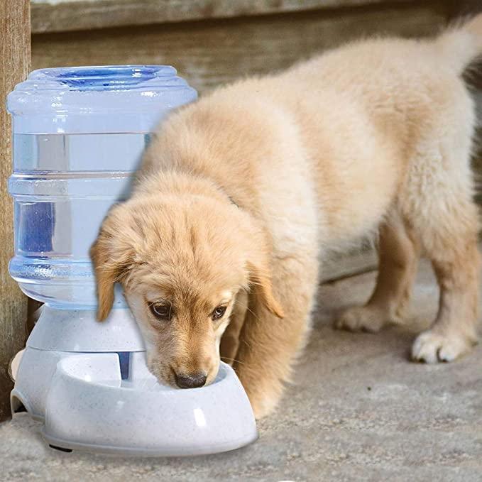 Automatic Water Dispenser – Keep Pets Hydrated 24/7