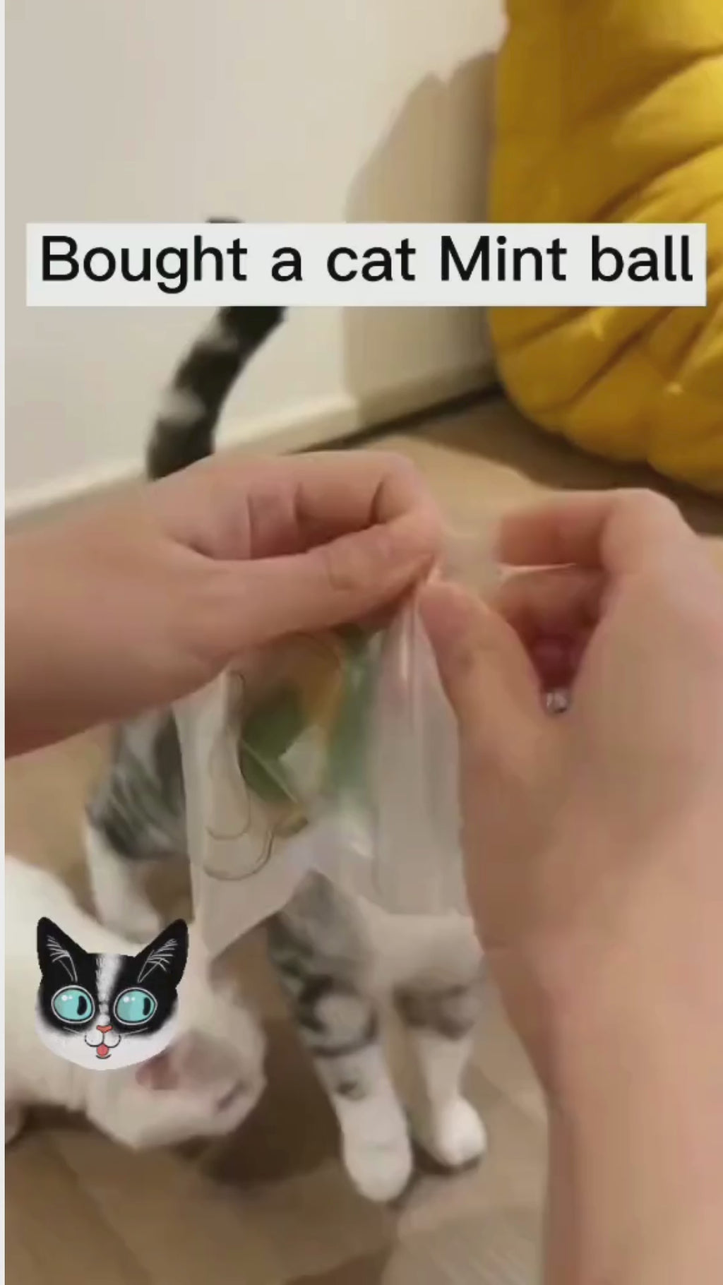 Catnip Filled Mint Avocado Toy Ball for Cats