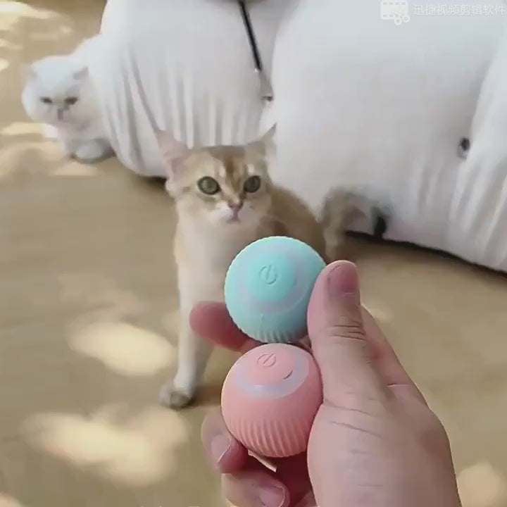 Rotating Cat Toy Ball - Interactive Rechargeable 360° LED Chase Ball