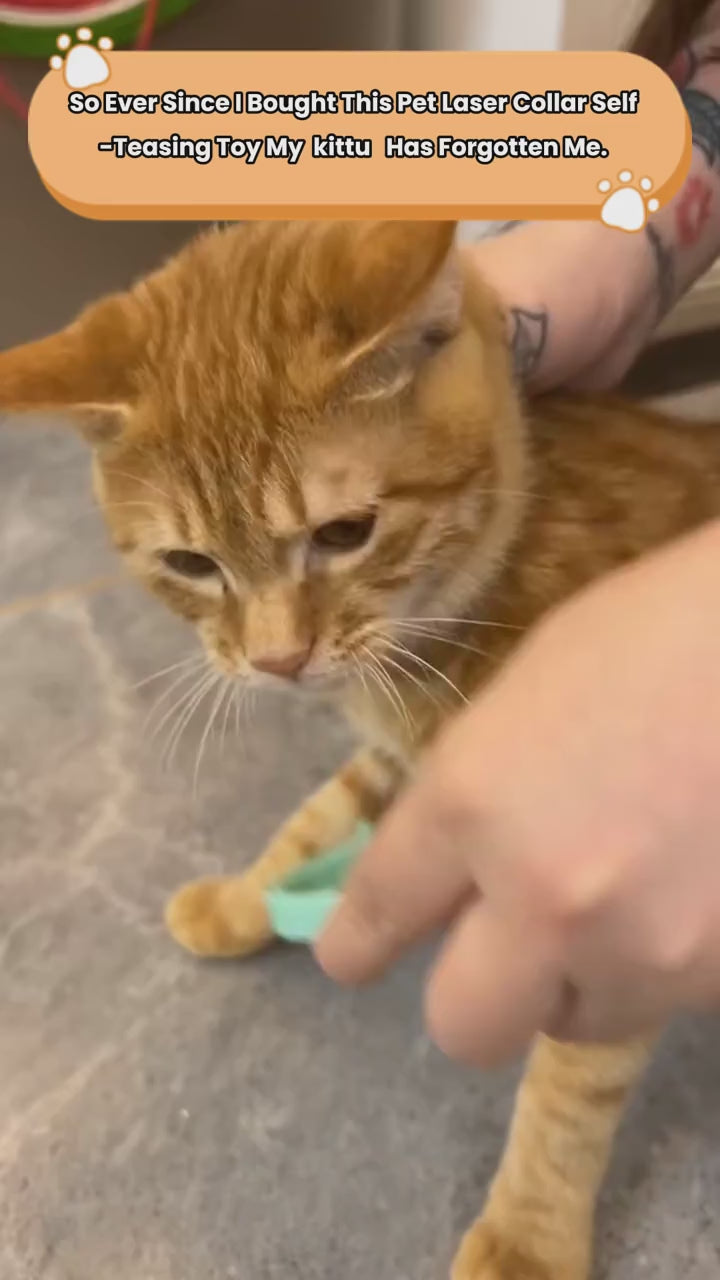 Pet Laser Collar  – Smart Self-Play Toy for Pets