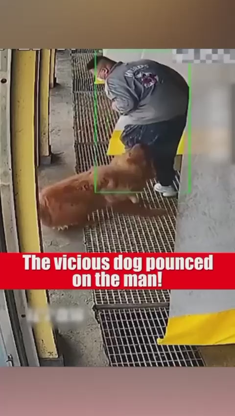 Ultrasonic Dog Repeller – Protect Yourself from Animal Attacks